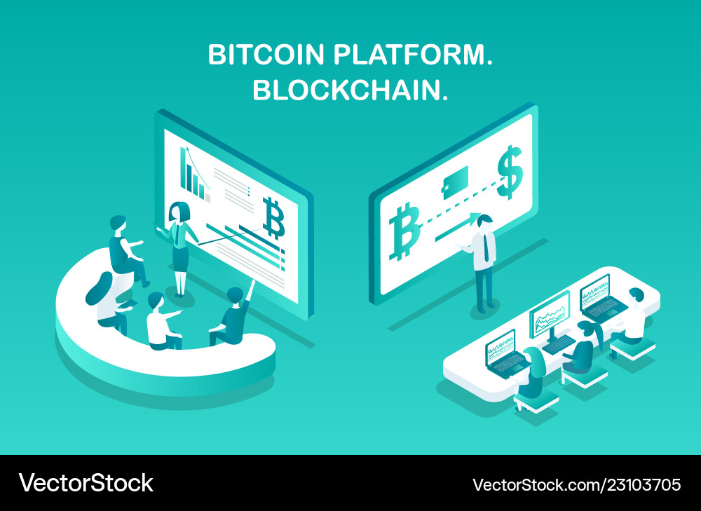 Bitcoin platform blockchain Bitcoin platform blockchain vector image