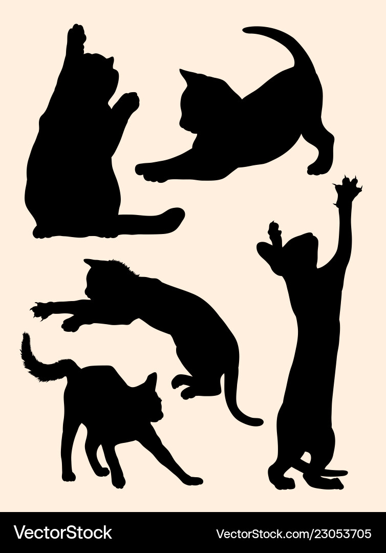 Cute cats and kittens gesture animal silhouette Cute cats and kittens gesture animal silhouette vector image