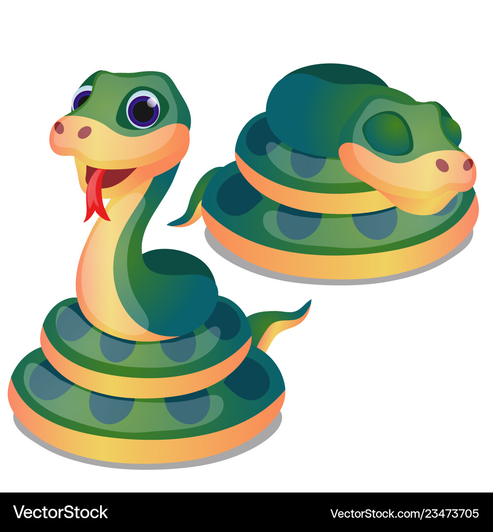Cute curled up green snake isolated on white Cute curled up green snake isolated on white vector image