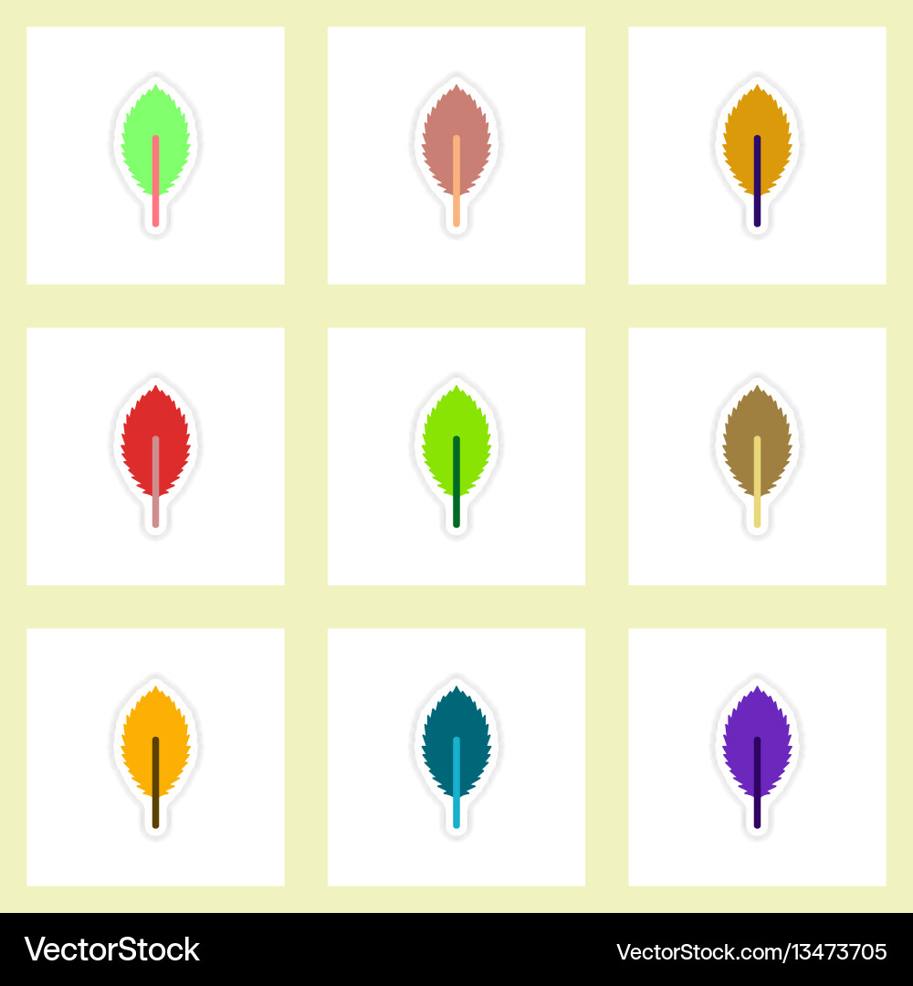 Set of labels with shadow leafs icon design Set of labels with shadow leafs icon design vector image