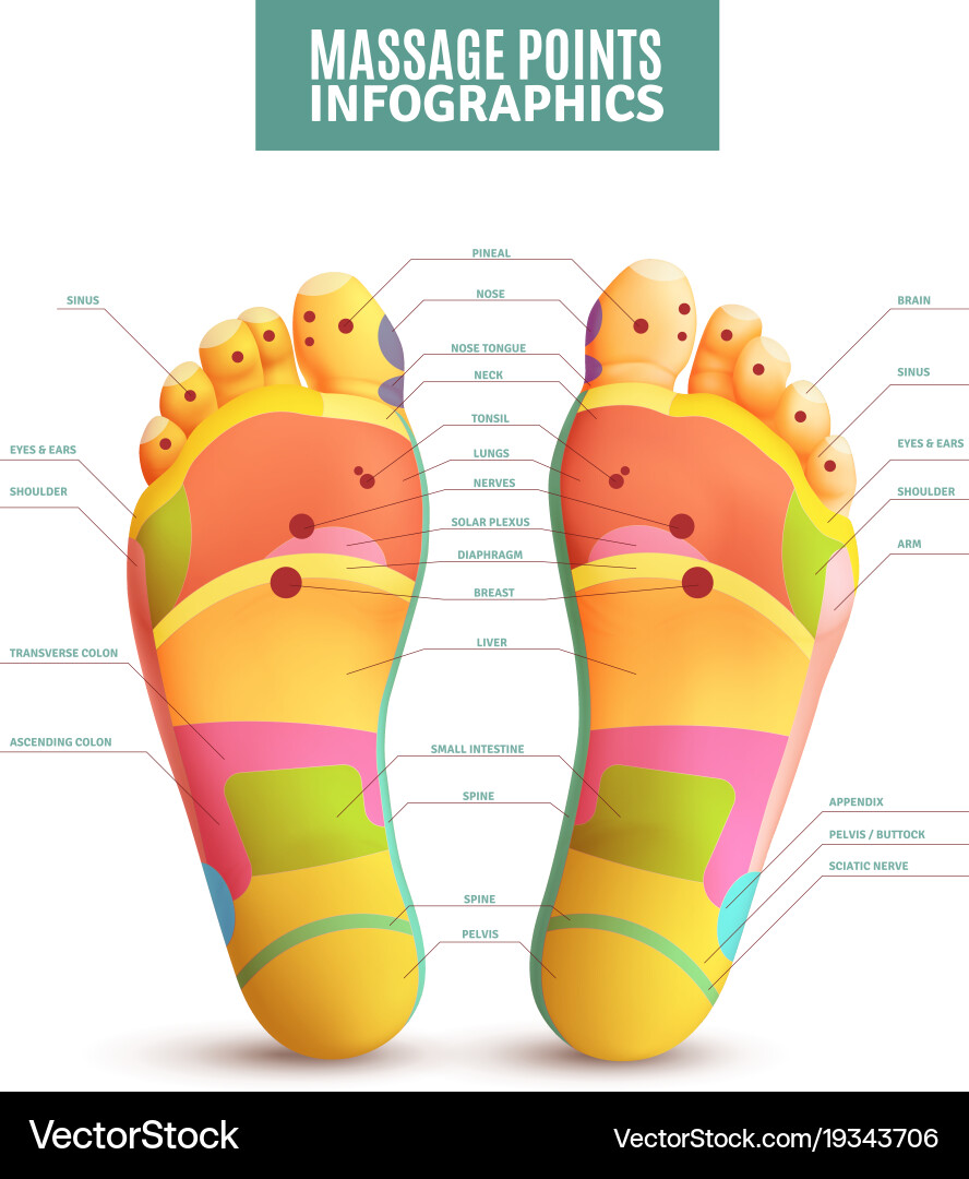 Foot Massage Points - Sole Relief Vector Image