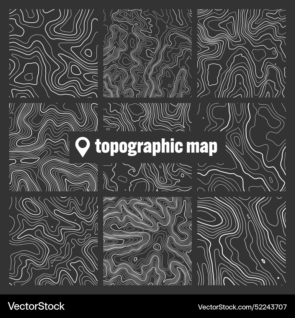 Topographic map with contour lines geographic vector image