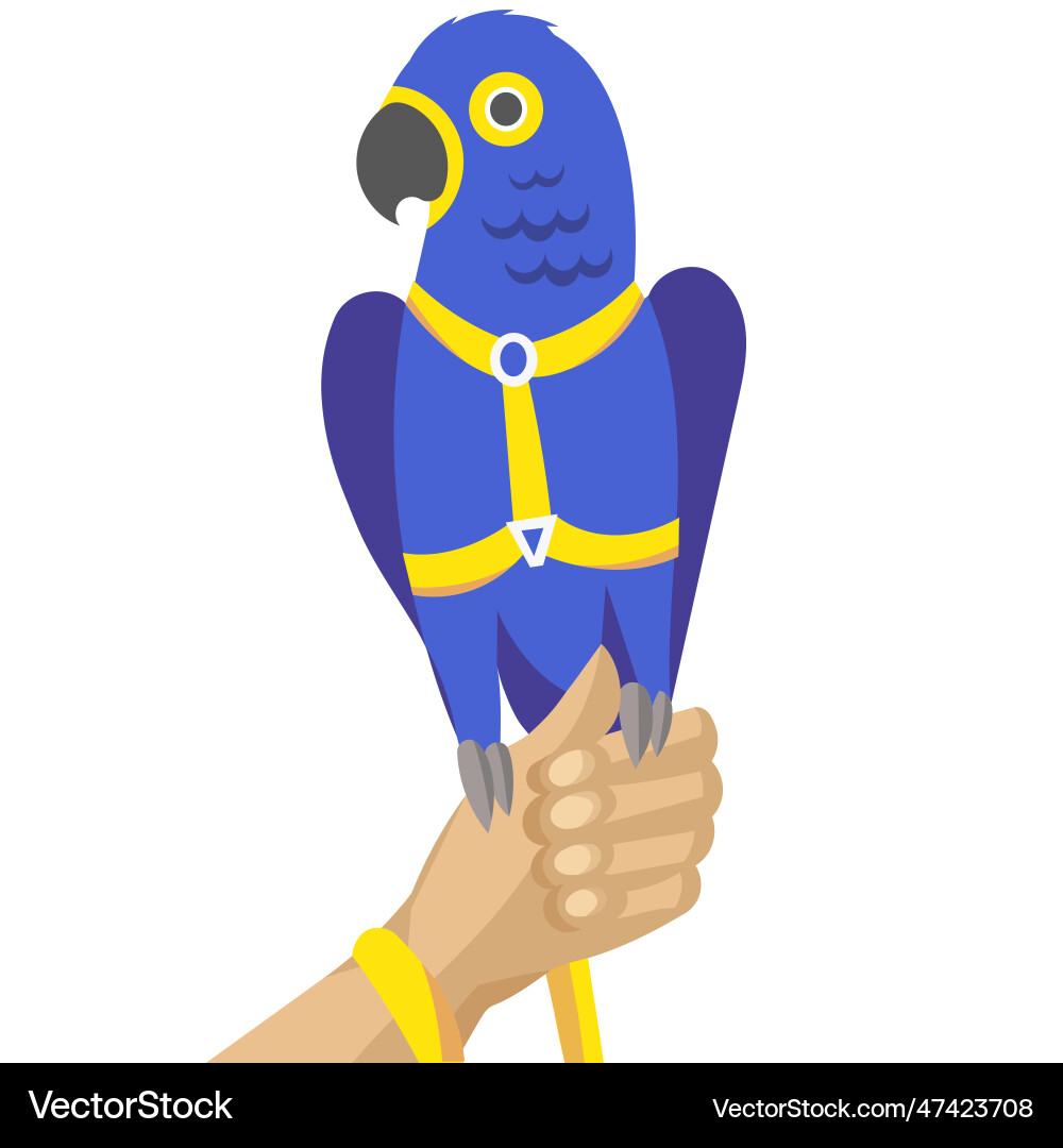 Blauer Papagei in Geschirr und Leine auf menschlicher Hand Blauer Papagei in Geschirr und Leine auf menschlicher Hand Vektorbild