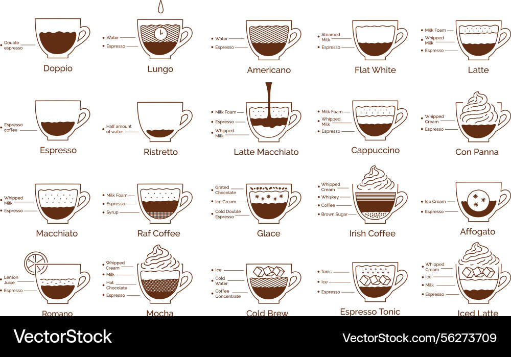 Kaffee Rezepte Infografik Kaffee Rezepte Infografik vektorbild