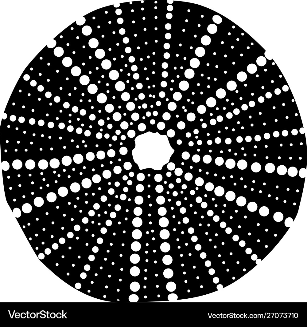 Abstract Seashell Pattern vector image
