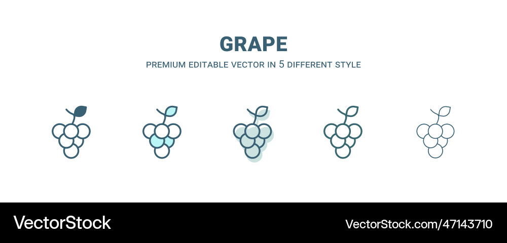 Grape icon in 5 different style outline filled Vector Image