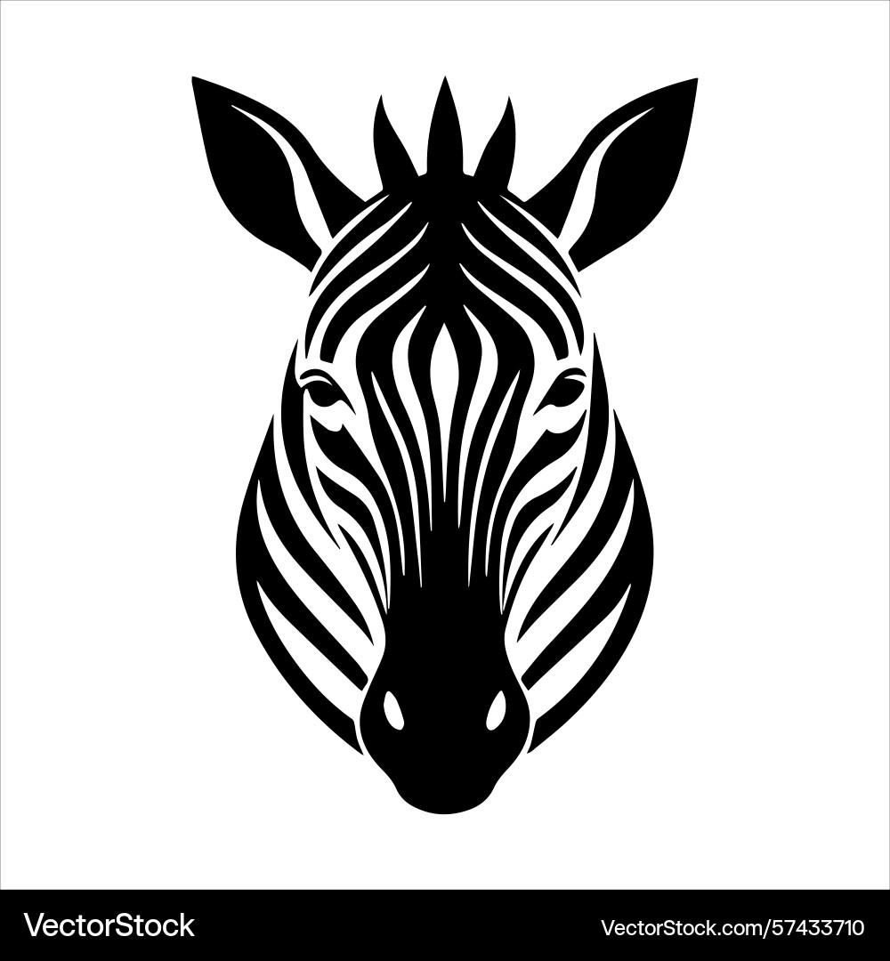 Plain zebra vector image
