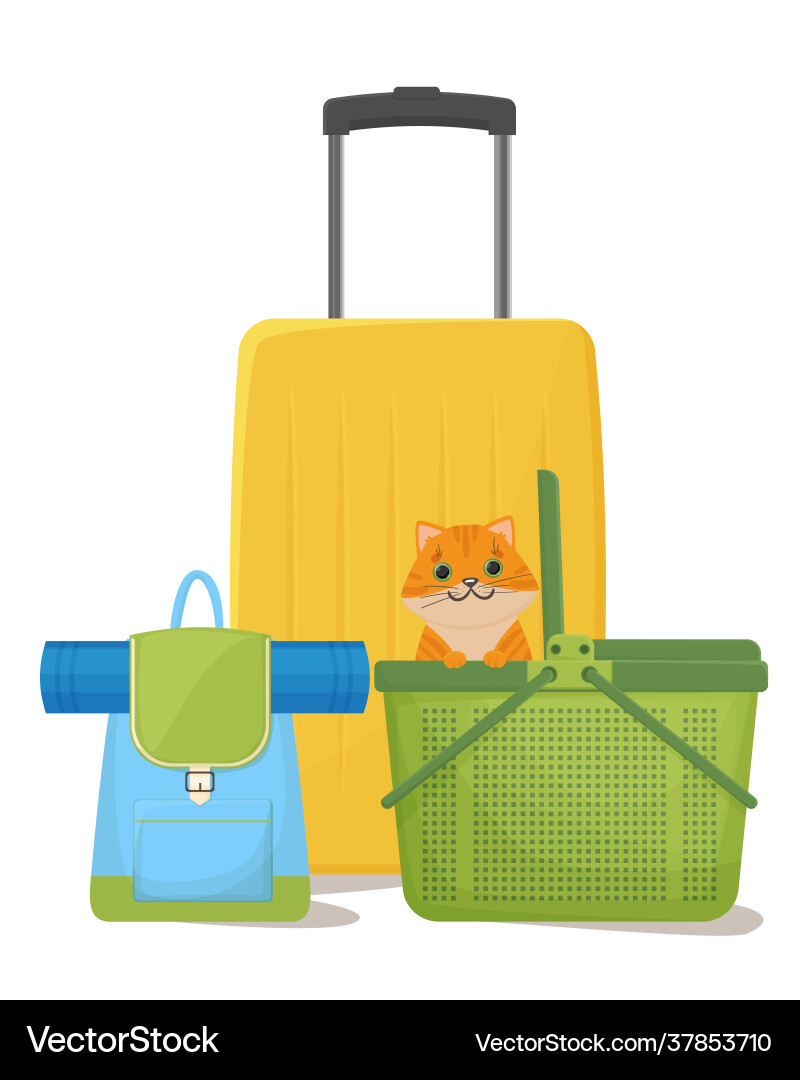 Traveling with pets suitcases backpack and cat Traveling with pets suitcases backpack and cat vector image