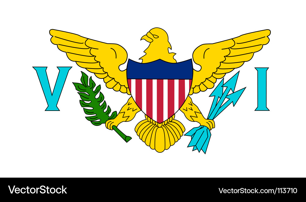 Virgin Islands Flag vector image
