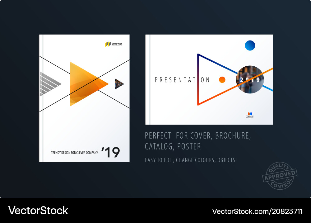 Brochure design triangular template colourful Vector Image