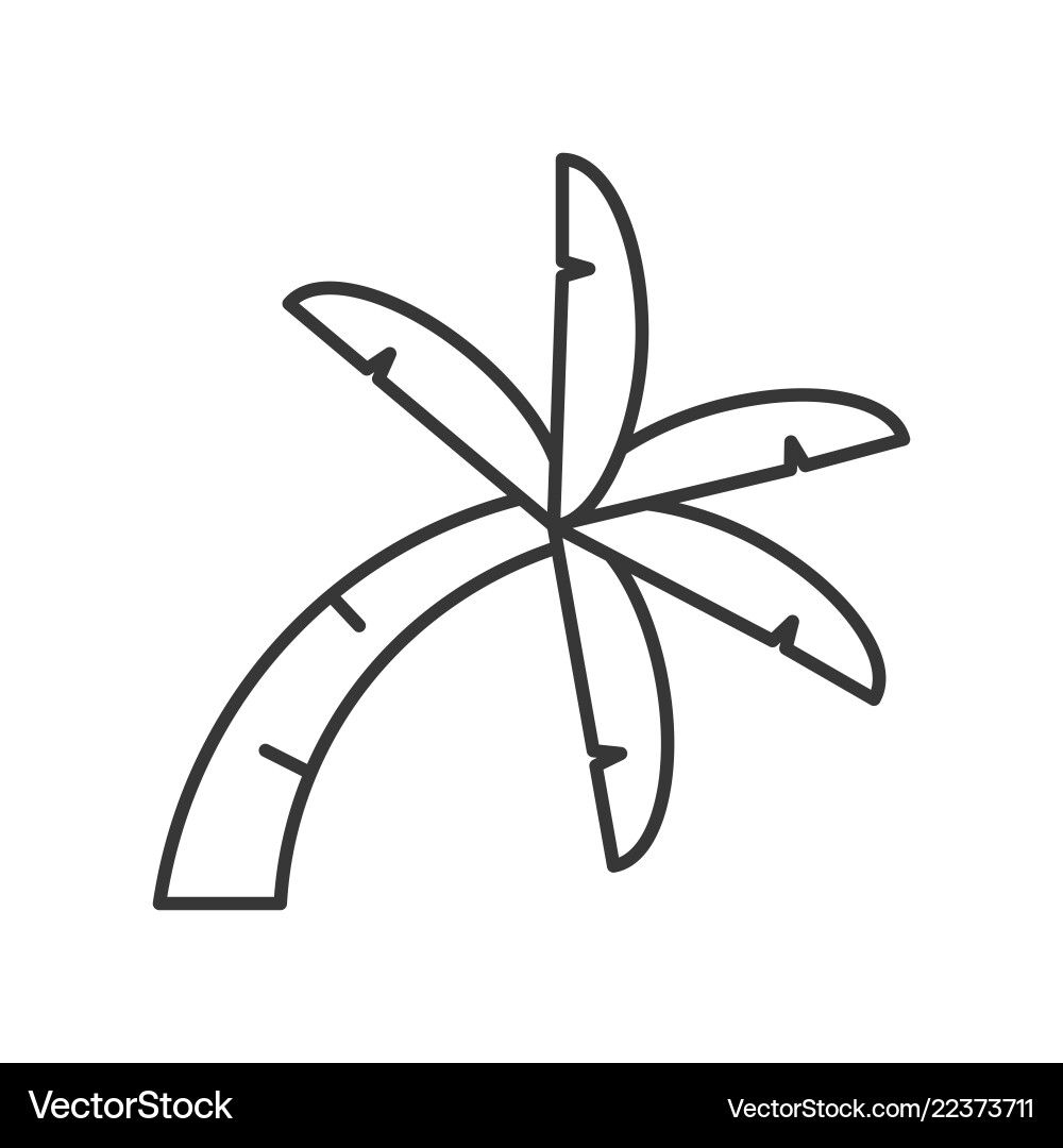 Curve palm tree icon thin line on white background vector image