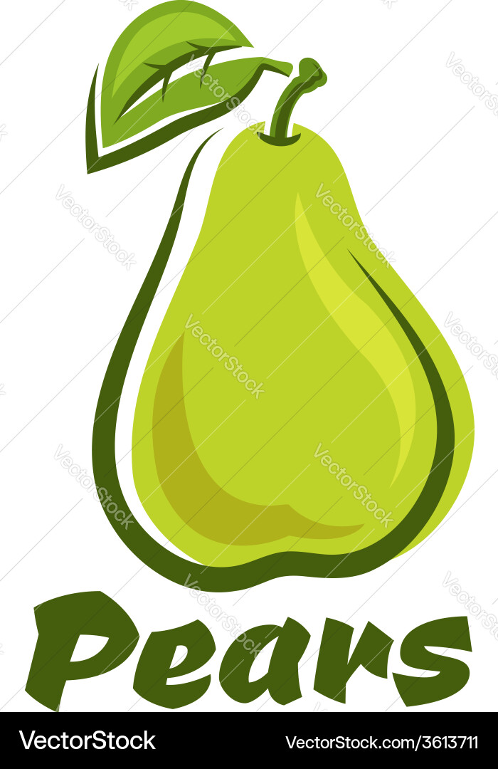 Pear fruit with leaf Royalty Free Vector Image