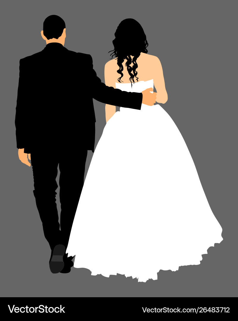 Groom and bride wedding day just married couple Groom and bride wedding day just married couple vector image