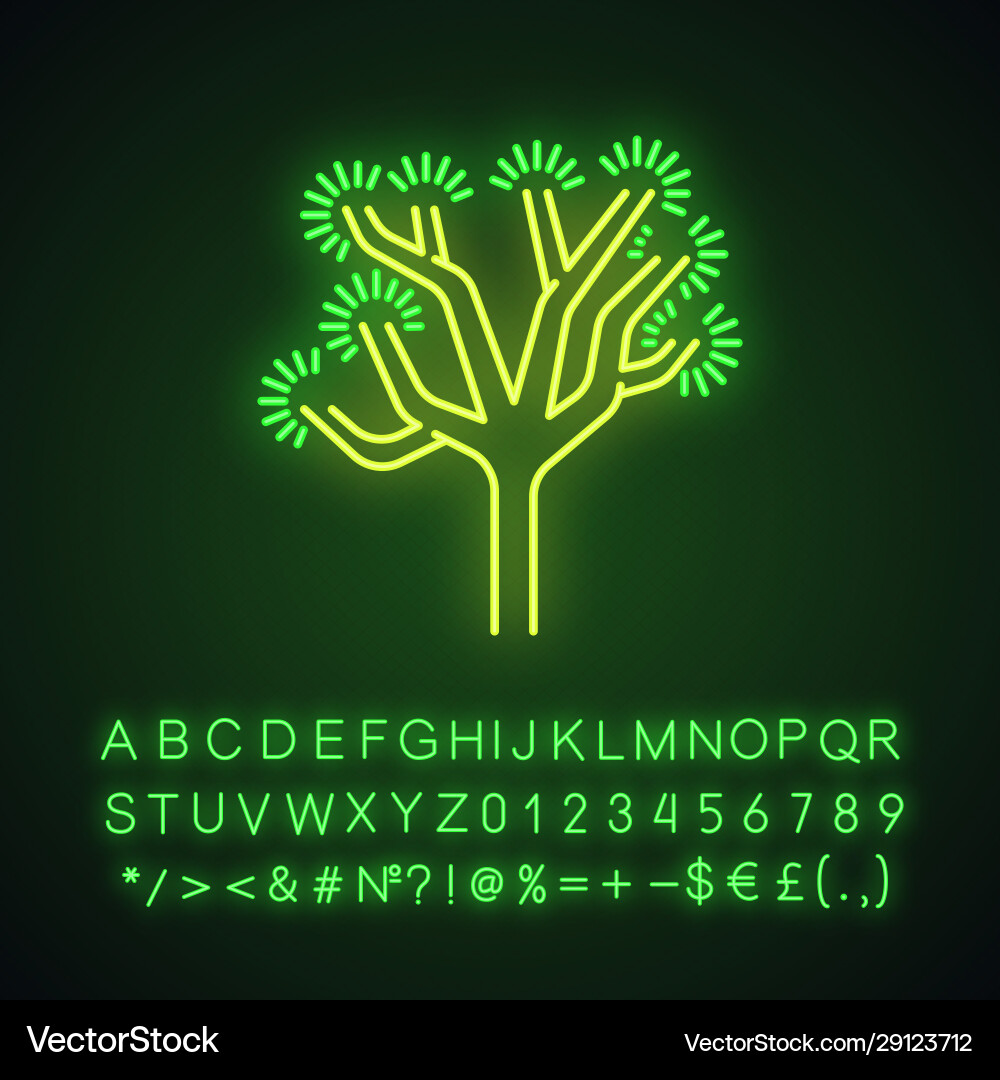 Neon Joshua Tree Icon vector image