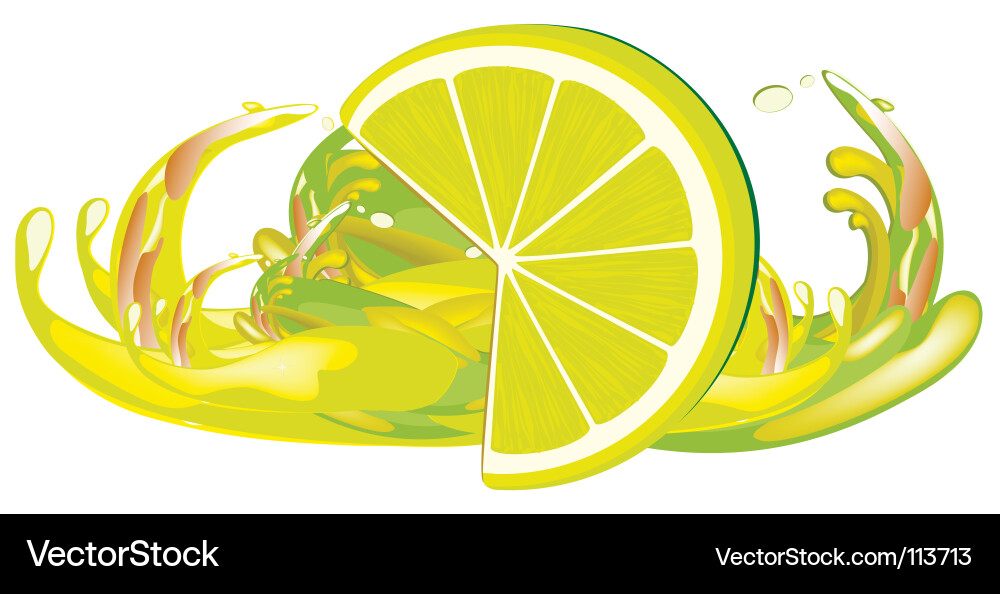 Citrus Splash & Juices Vector Image