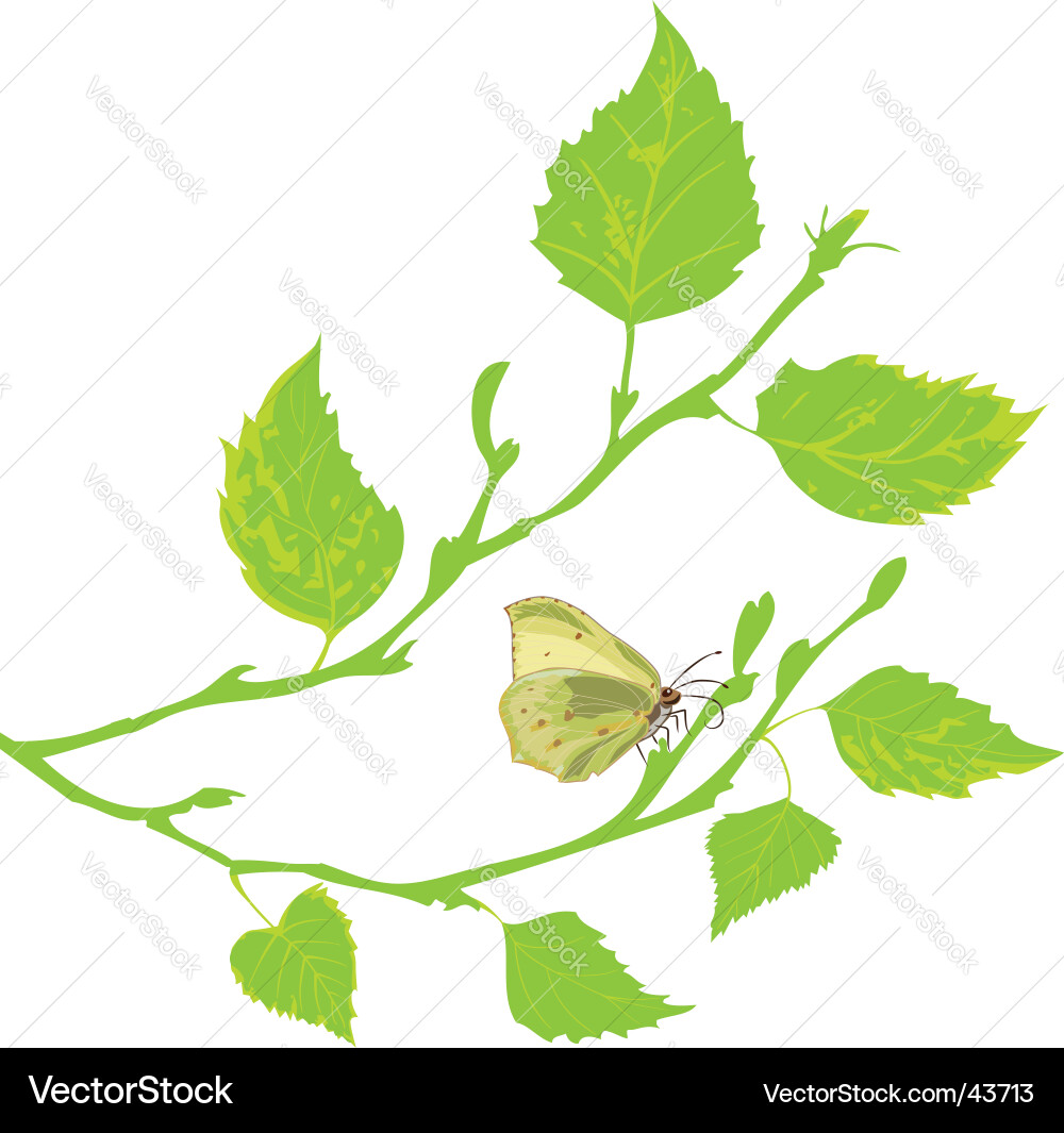 Spring vector image