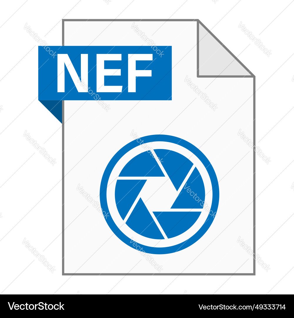 Modern flat design of nef file icon for web vector image