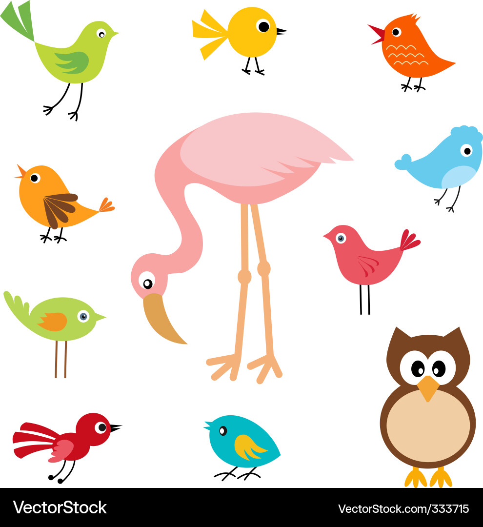 Cute Bird Collection vector image
