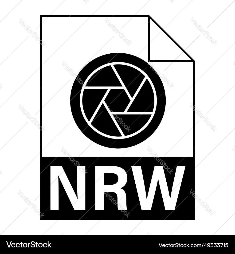 Modern flat design of nrw file icon for web Vector Image
