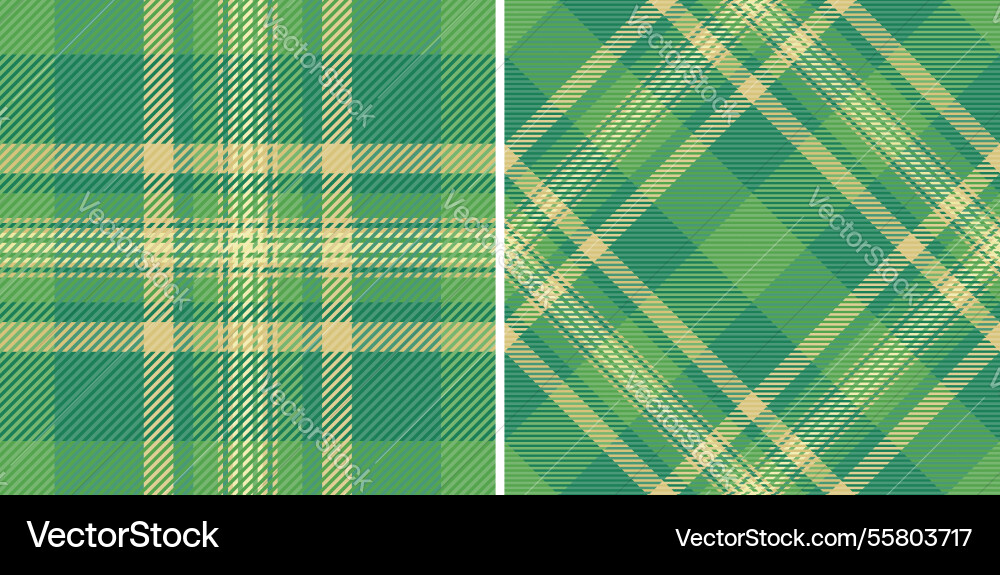 Check background of textile fabric pattern vector image