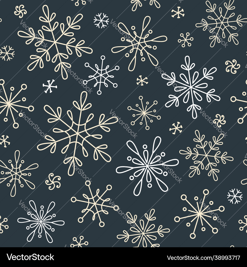 Winter Snowflake Pattern vector image
