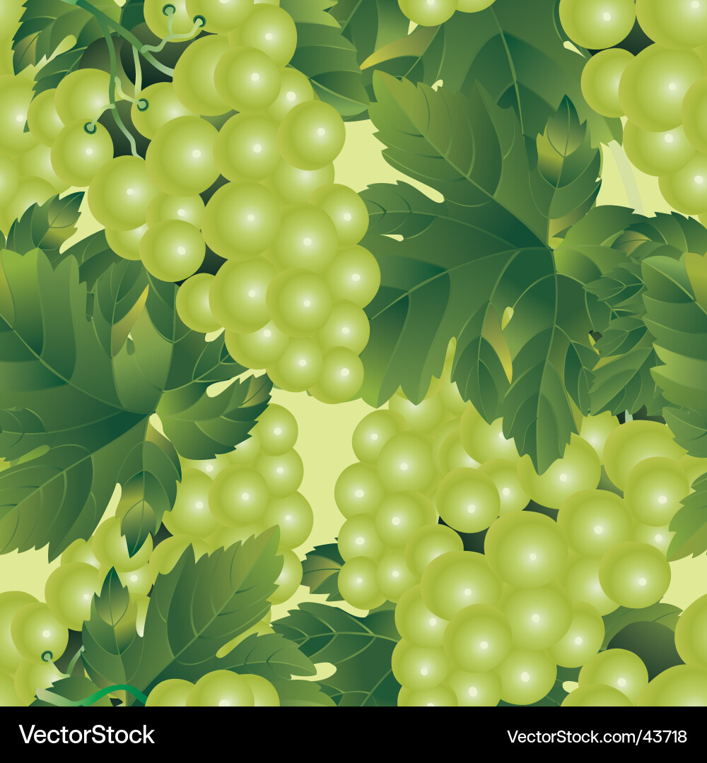 Grapes Seamless Pattern vector image
