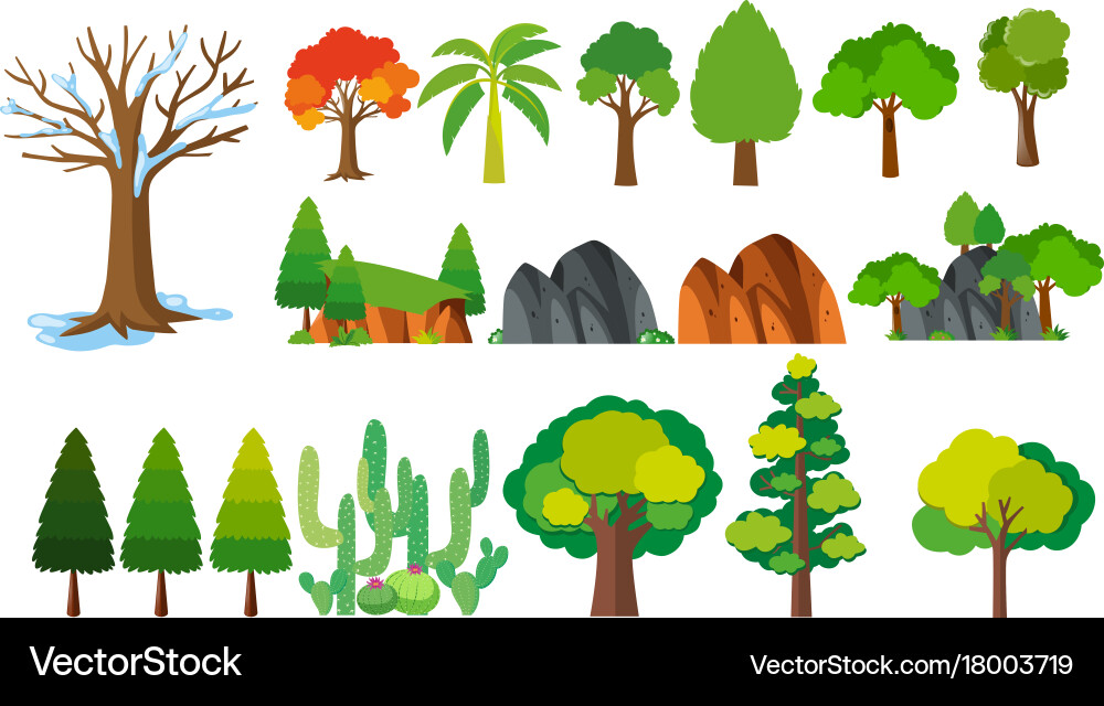 Diverse Tree Collection Vector Image
