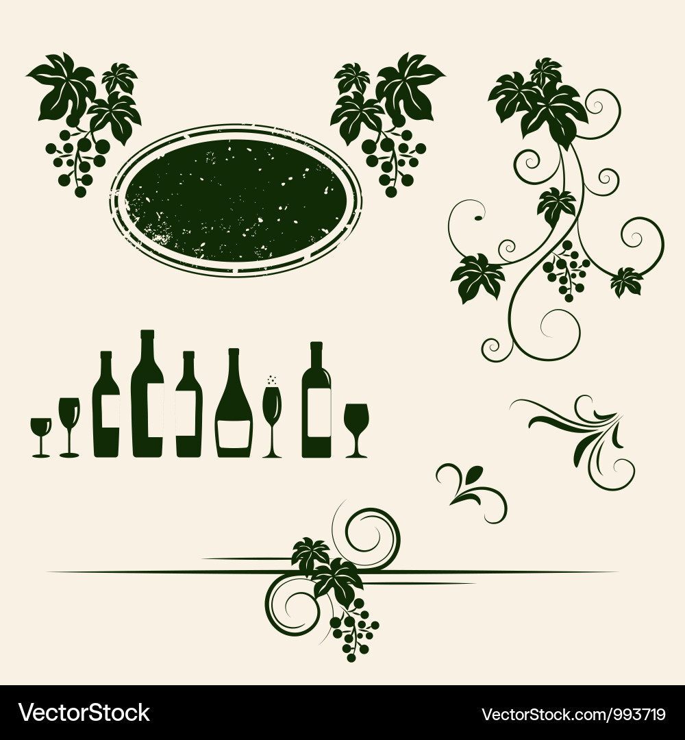 Grapevine & Wine Elements vector image