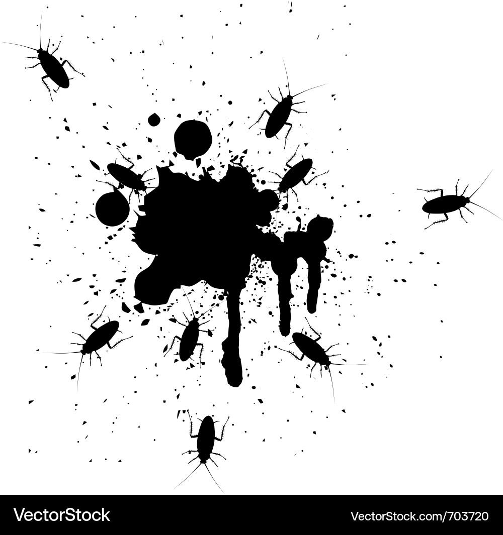 Cockroaches on a Surface Vector Image
