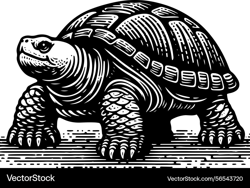 Simple gopher tortoise walking side view icon Simple gopher tortoise walking side view icon Vector Image