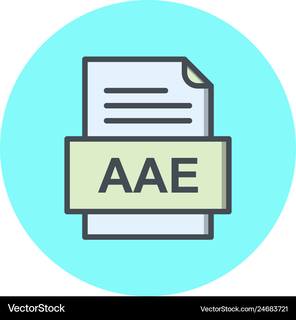 Aae file document icon vector image