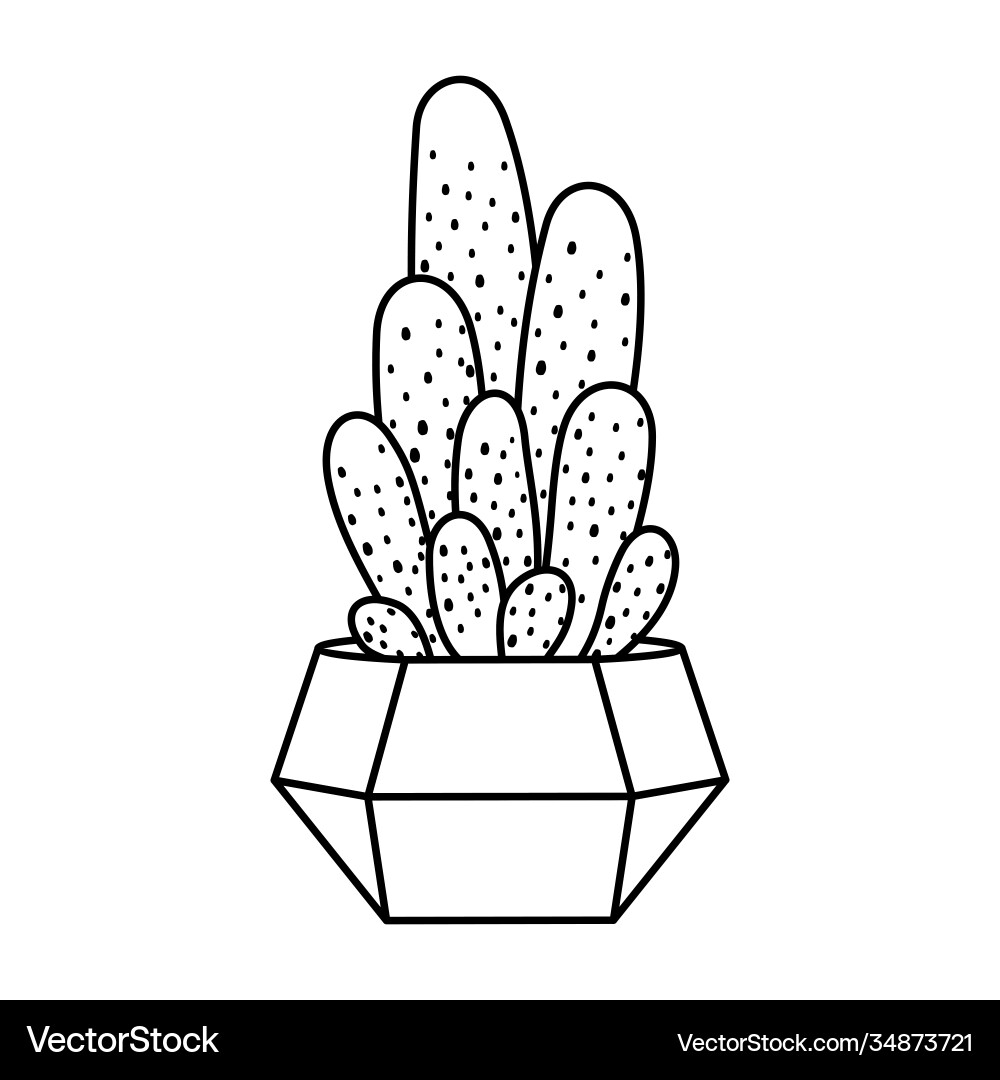 Cactus and succulent line style Cactus and succulent line style Vector Image