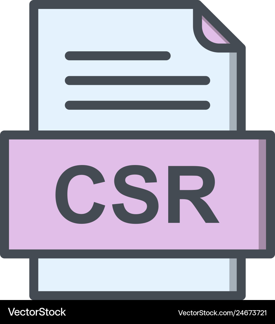 Csr file document icon vector image