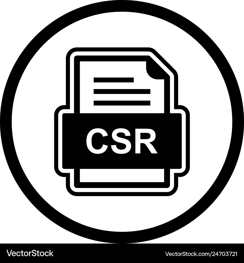 Csr file document icon vector image
