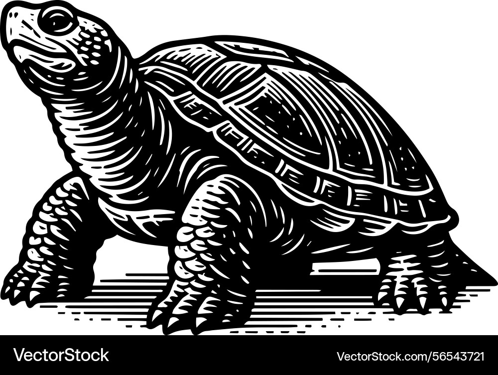 Einfache gopher tortoise walking side view icon Vektorbild