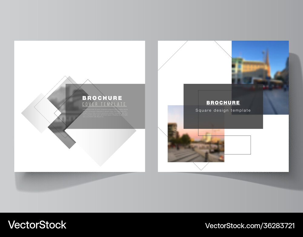 Layout two square format covers design Layout two square format covers design vector image