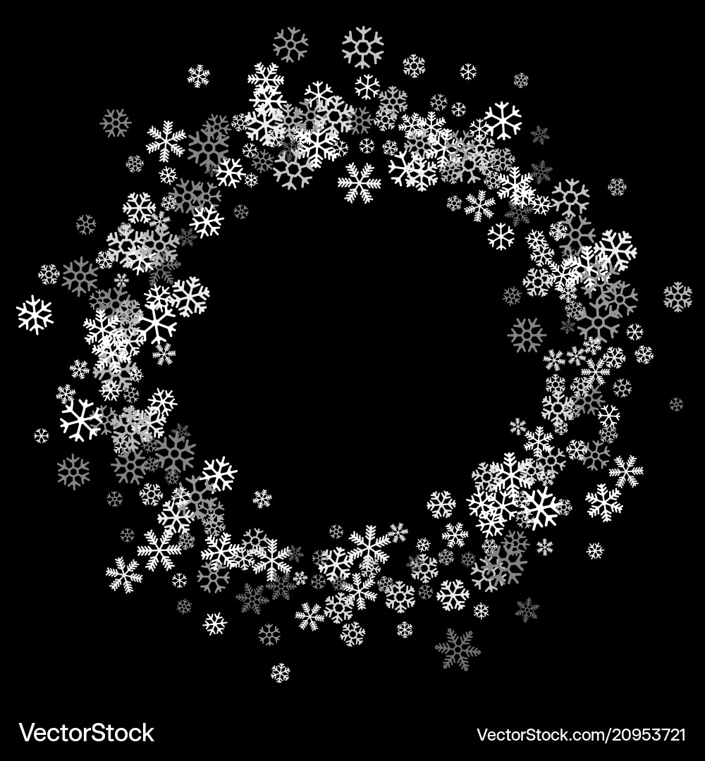 Silver Snowflake Border vector image