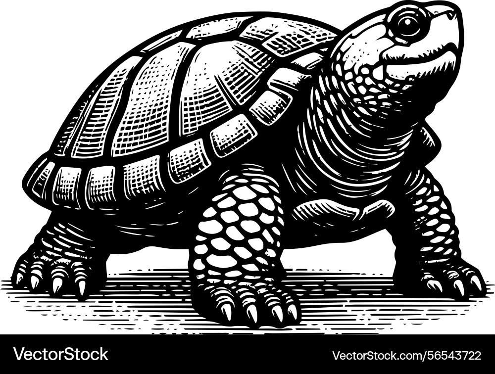 Simple gopher tortoise walking side view icon Simple gopher tortoise walking side view icon vector image