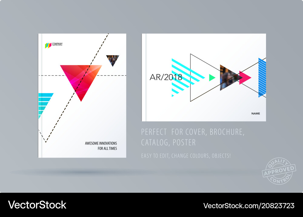 Brochure design triangular template colourful vector image