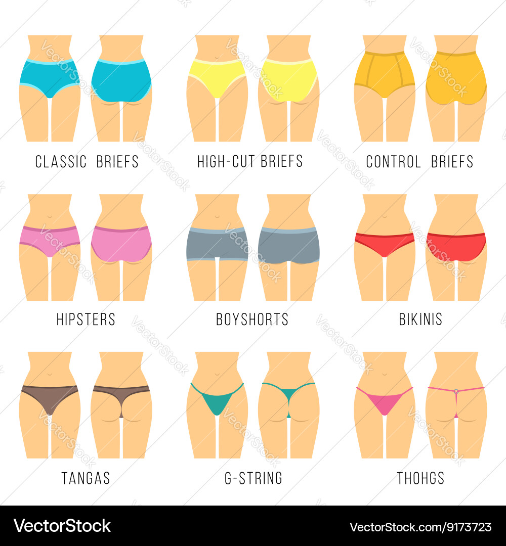 Types Women's Panties Front View Set Underwear Slip High Waist Stock Vector  by ©exit.near.gmail.com 254342038