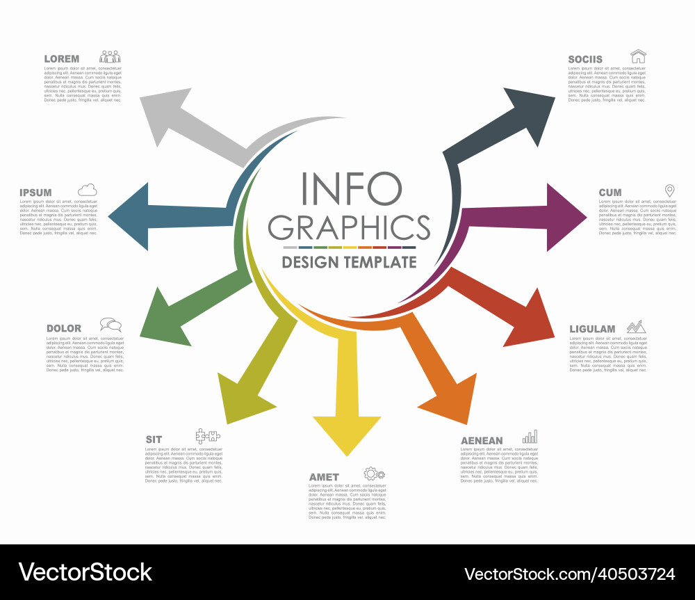 Infographic Template - Circular Data vector image