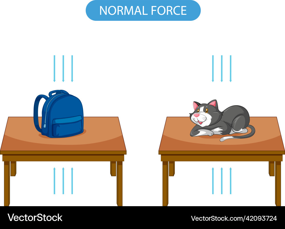 Normal force with object on the table Normal force with object on the table vector image
