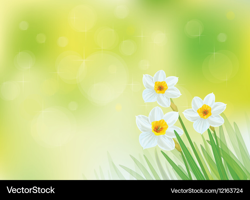 Spring background vector image