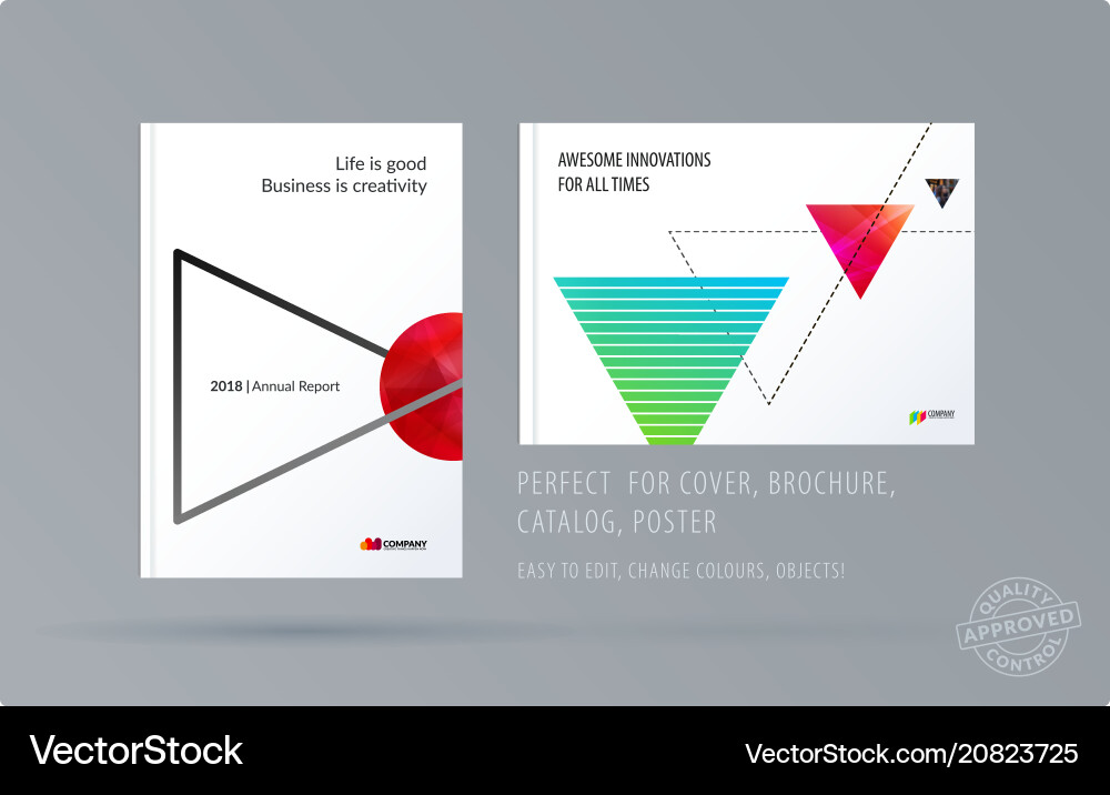 Brochure design triangular template colourful Brochure design triangular template colourful vector image