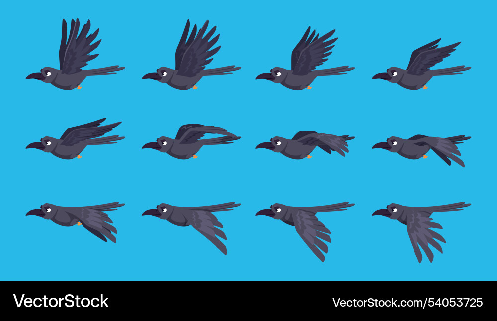 Crow Flying Animation Sequence vector image