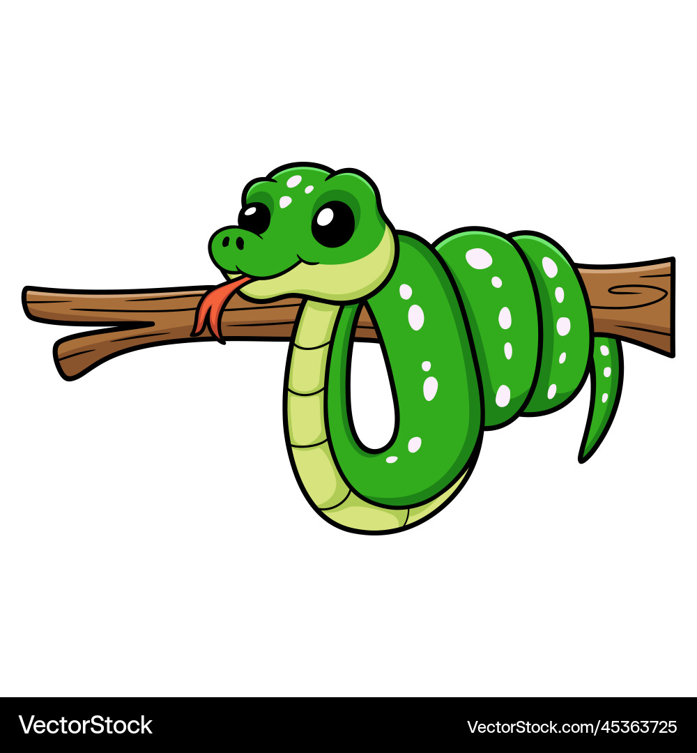 Cute green tree python cartoon on branch Cute green tree python cartoon on branch Vector Image