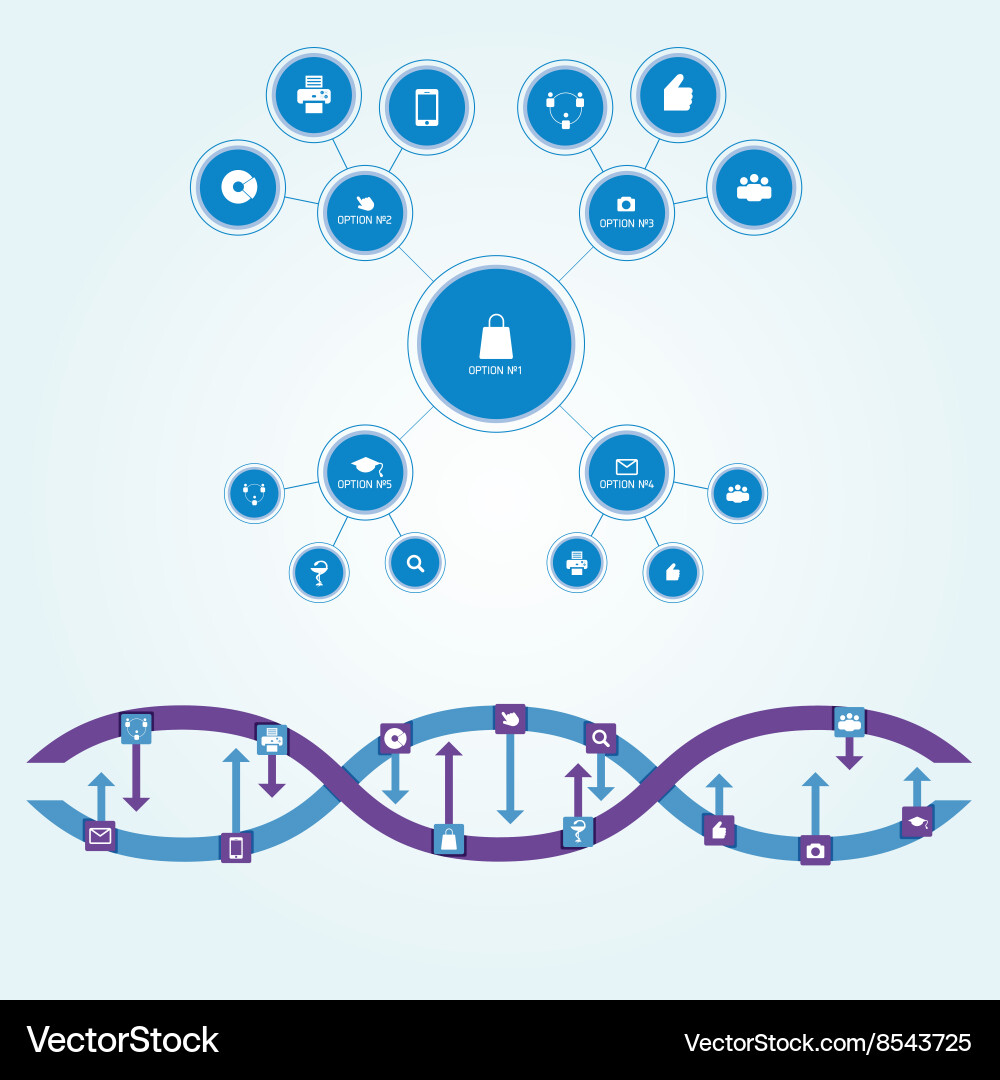 Flowchart scheme of circles different sizes Vector Image