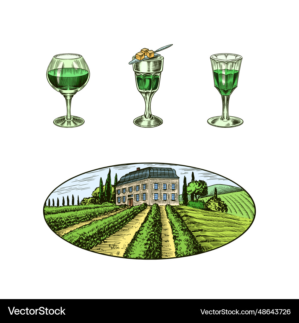Bottle of absinthe glass shot woman holding Bottle of absinthe glass shot woman holding vector image