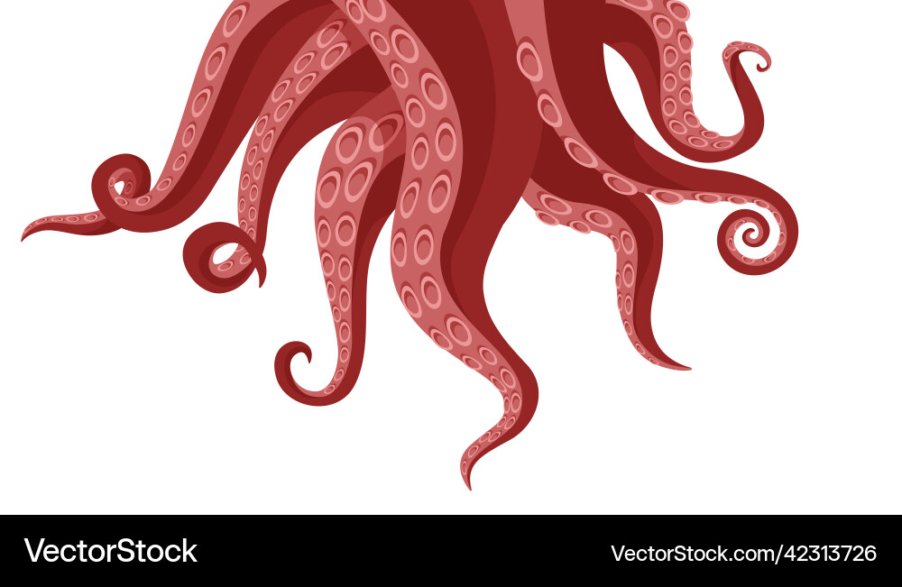 Octopus tentacle background cartoon squid Octopus tentacle background cartoon squid vector image