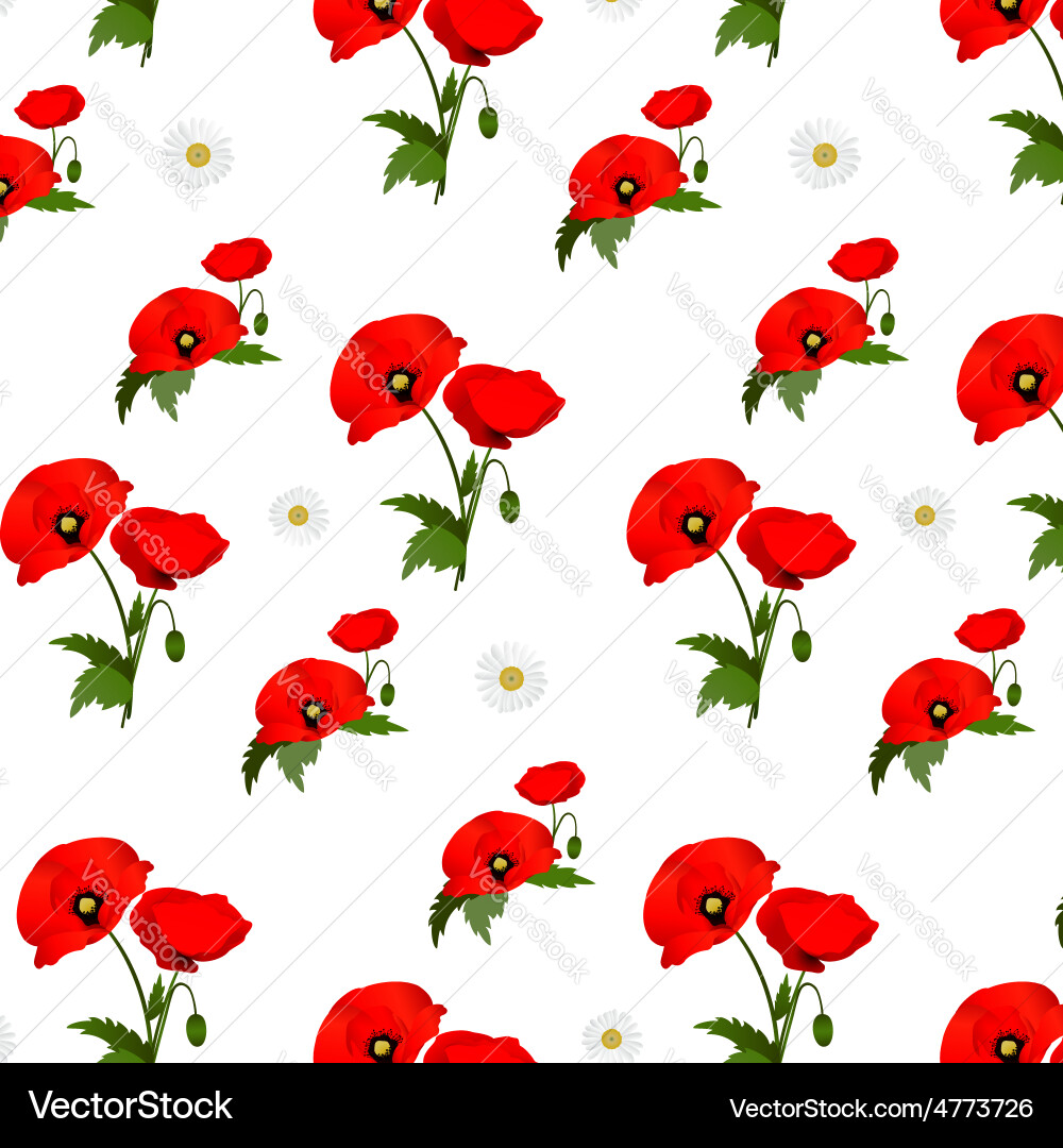 Seamless pattern with chamomile and poppies Vector Image